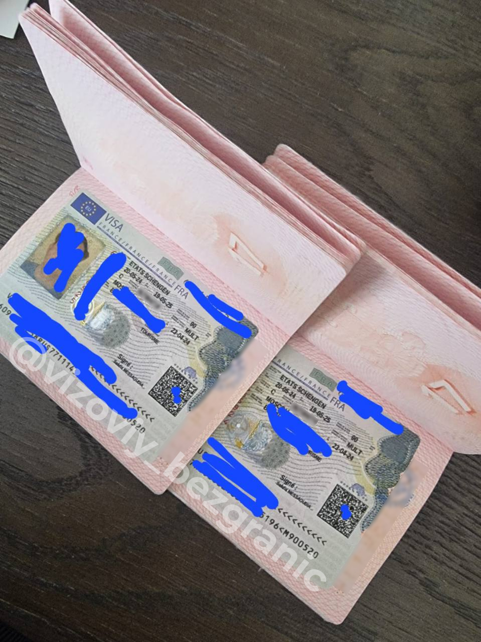 отзыв Визы во Францию на 1 год